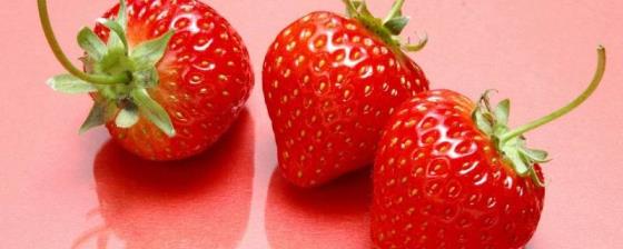 草莓是感光食物吗