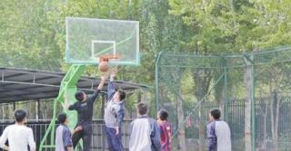 如何通过篮球运动活跃校园体育文化氛围