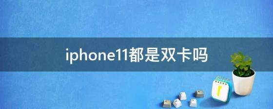 iphone11都是双卡吗