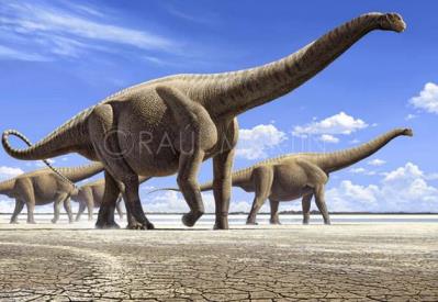 世界上最大的恐龙排名